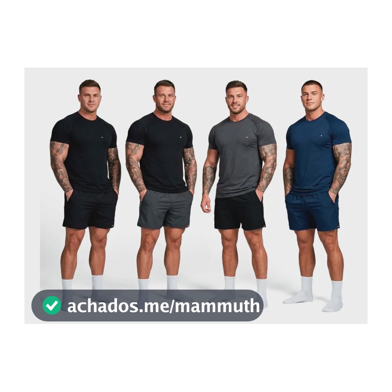 Kit 8 Peças Dry Fit 4 Camisetas + 4 Shorts Academia Sandrini Sortidos Liso Gg