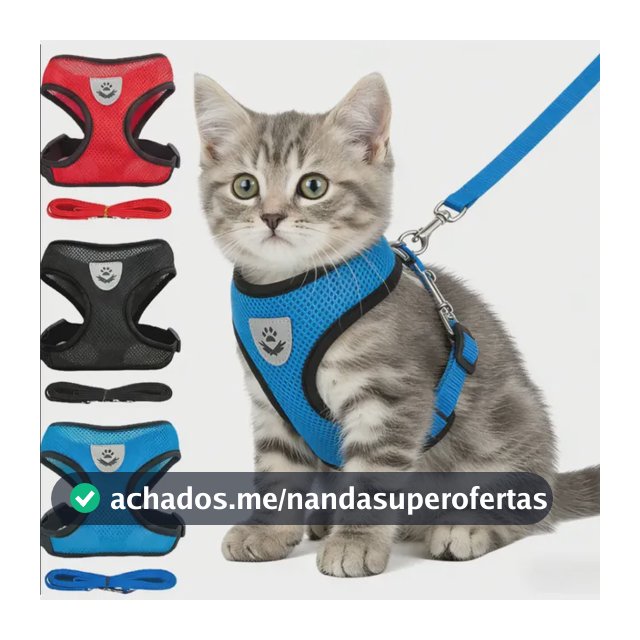 Peitoral Ajustável Para Cães E Gatos Com Guia 120cm