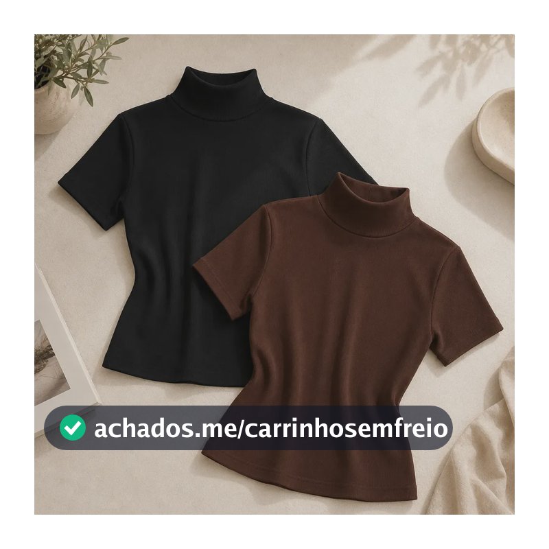 Kit 2 Blusas Feminina Canelada Gola Alta Ribana Básica Preto/marrom Liso Único: 36 A 42