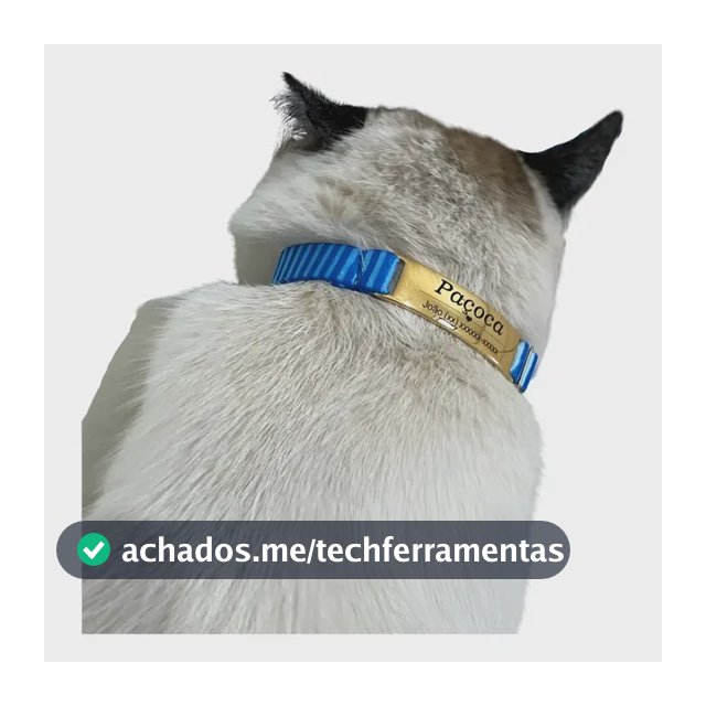 Coleira Para Gato Identificação Sem Barulho Personalizado
