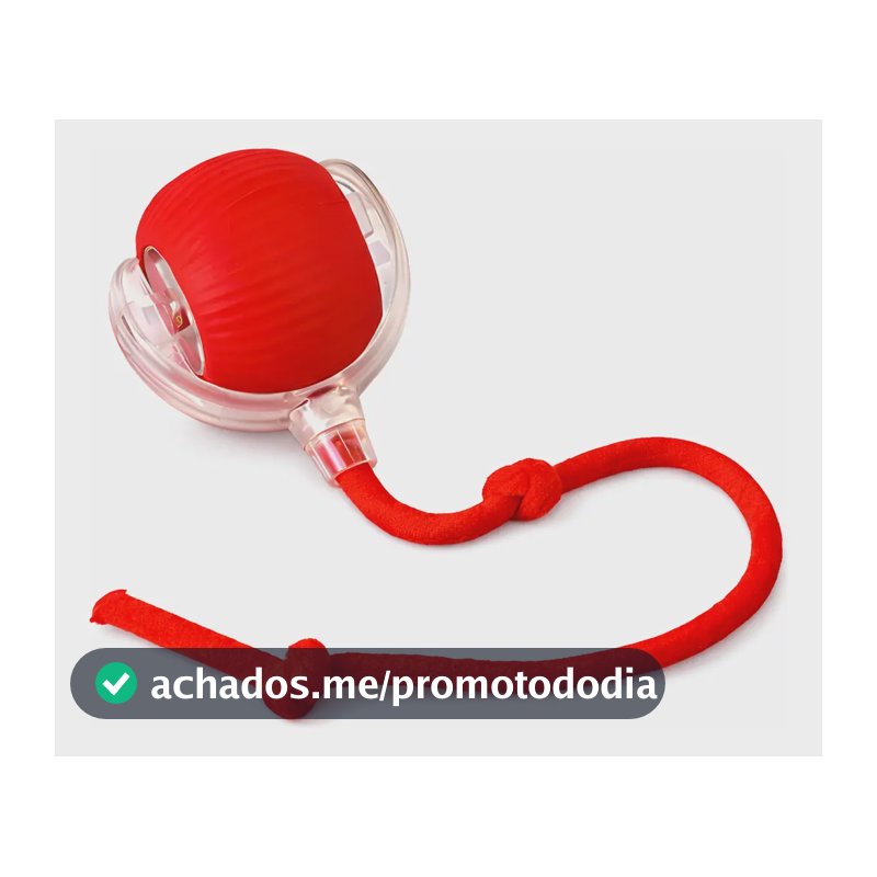 Bolinha Interativa Inteligente Gato Cachorro Recarregável Cores Sortida