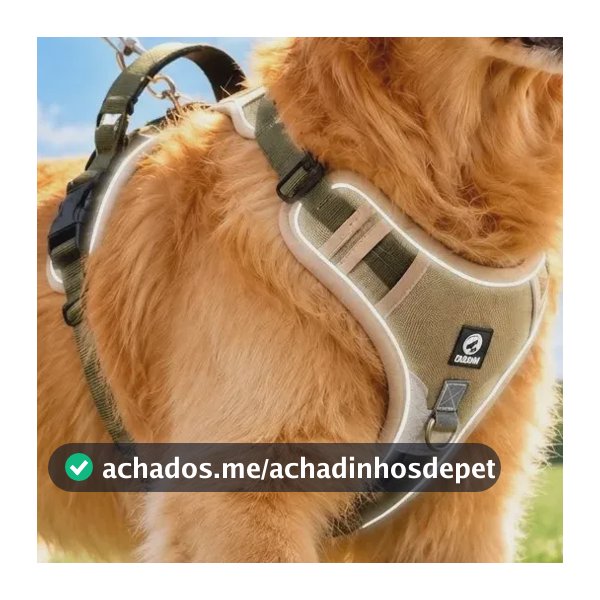 Peitoral Cachorro Com Guia Coleira Refletiva Reforcada Preto Trela P/m Peito 46-63 Cm P