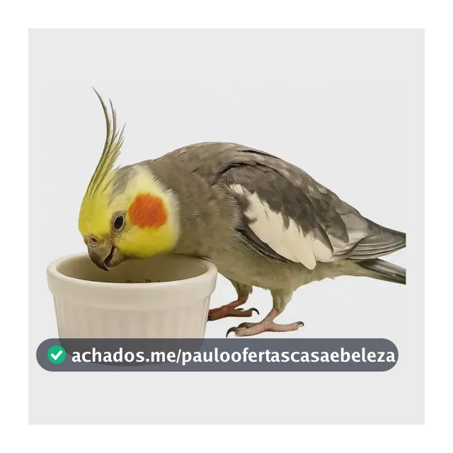 Bebedouro Comedouro Porcelana Benê Pet 100 Ml 100 G 2 Unids. Branco