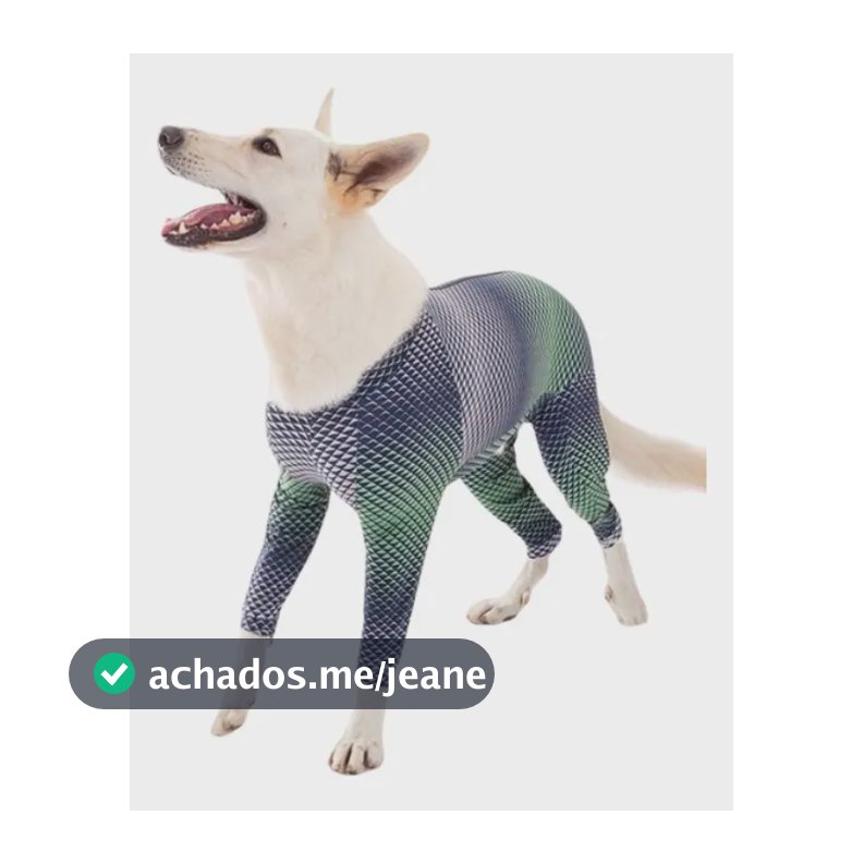 Roupa Protetora Corpo E Membros Cães Pet Med Azul E Verde 0