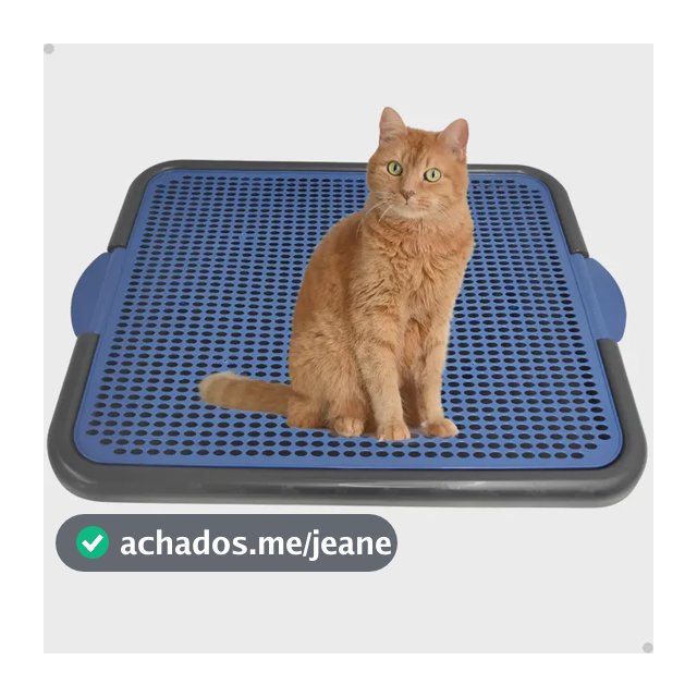 Tapete Coletor Para Caixa De Areia De Gato Limpa Patas 55x42