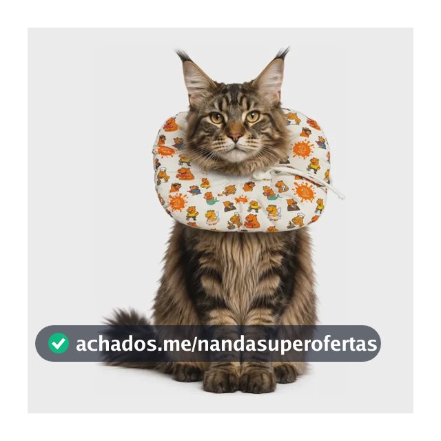 Colar Elizabetano Ajustável PETYC Estampado Cães Gatos Pós Cirúrgico Recuperação Proteção Anti Lambidas Macio Almofadado Tecido Confortável Regulável Flexível Lavável Feridas Curativos Capivara M