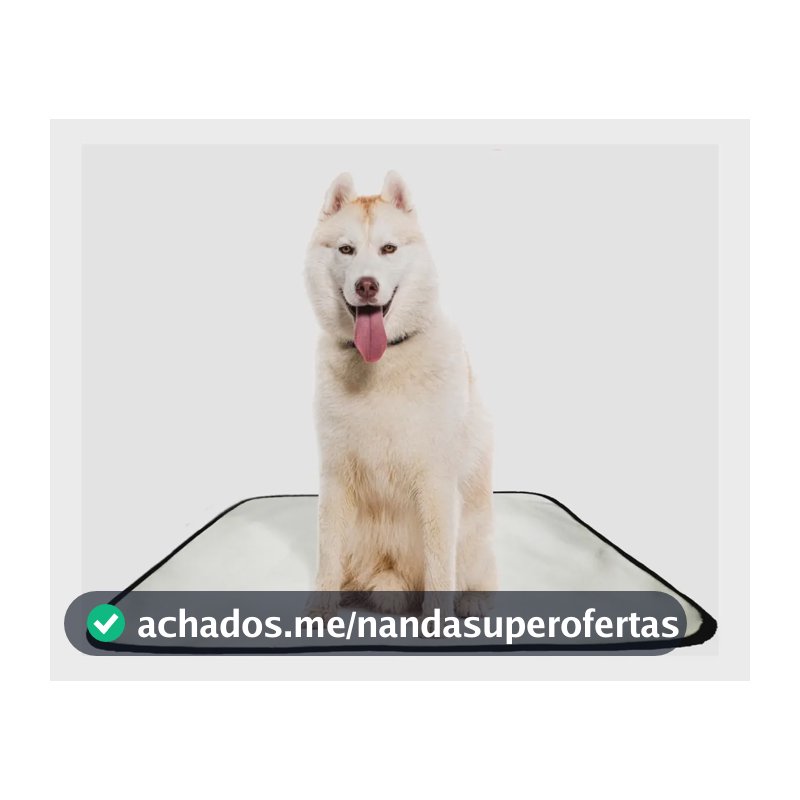 Kit 2 Tapetes Higiênicos Laváveis Shelby Moda Pet 60x80cm Cães