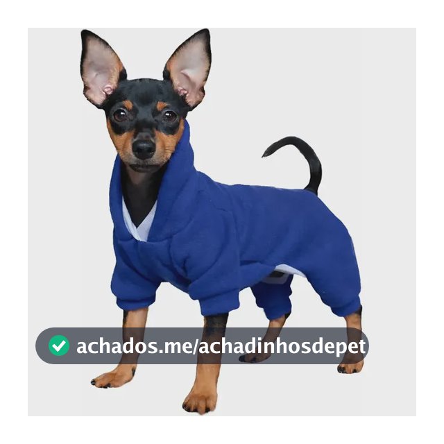 Roupa Com Capuz Pet De Frio Cachorro Porte Pequeno Estampada