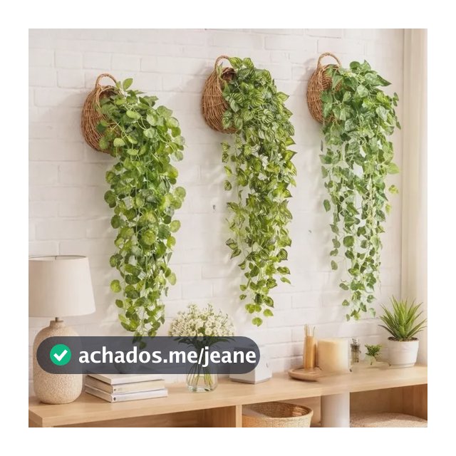 Kit 3 Vasos Suspensos + 3 Cordões Planta Melancia (ou A Plan Jiboia