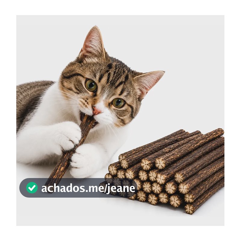 Matatabi Para Gatos Catnip Palitos Limpa Dentes Kit 20 Und Marrom