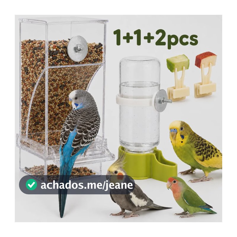 Kit Bebedouro E Comedouro de passaros aves Automático periquito calopsita alimentador coisas acessorios para gaiola de aves comedouro De Sementes Em Acrílico Transparente para canario fim sujeira