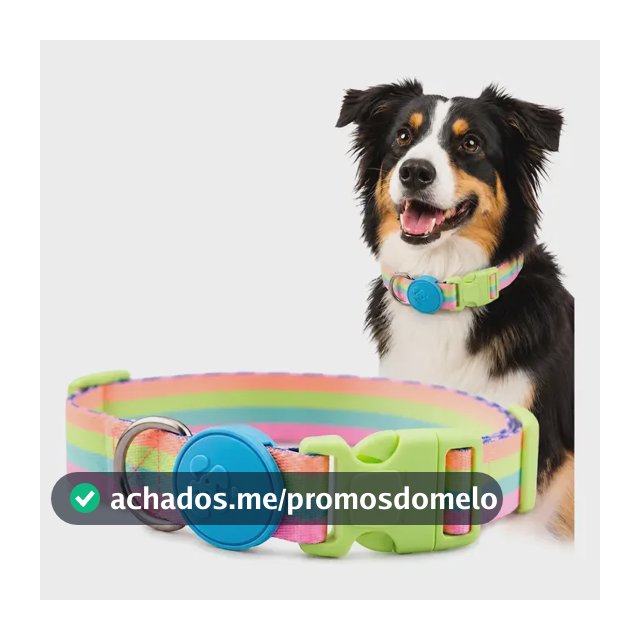 Coleira Caes Ajustavel Fecho Seguro  Acessório Pet Meuauau