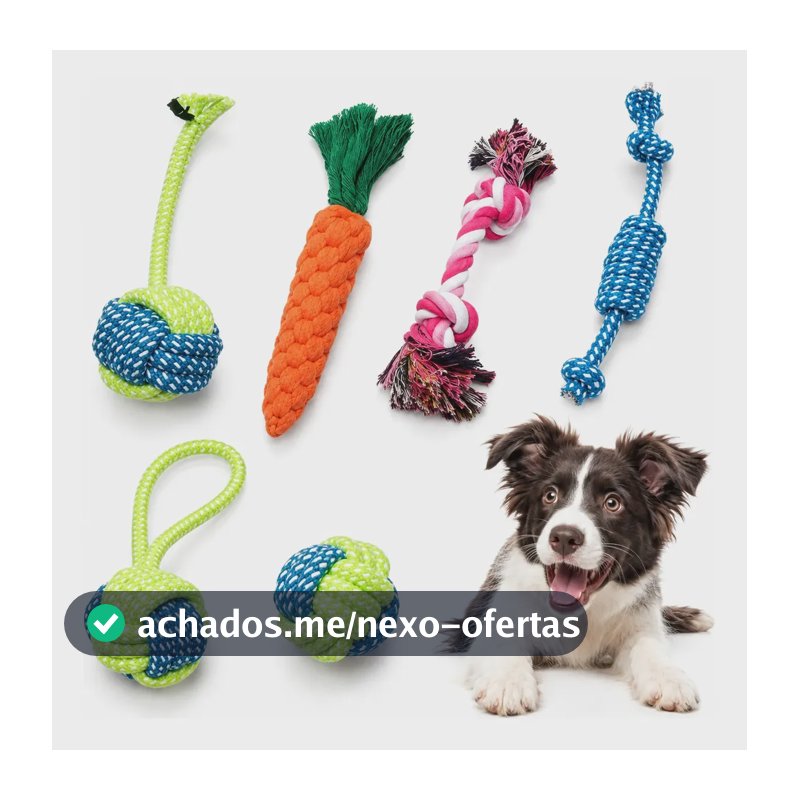 Kit 6 Brinquedos Mordedor Cachorro Pet Filhote Anti Estress