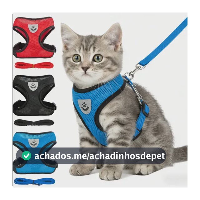 Peitoral Ajustável Para Cães E Gatos Com Guia 120cm