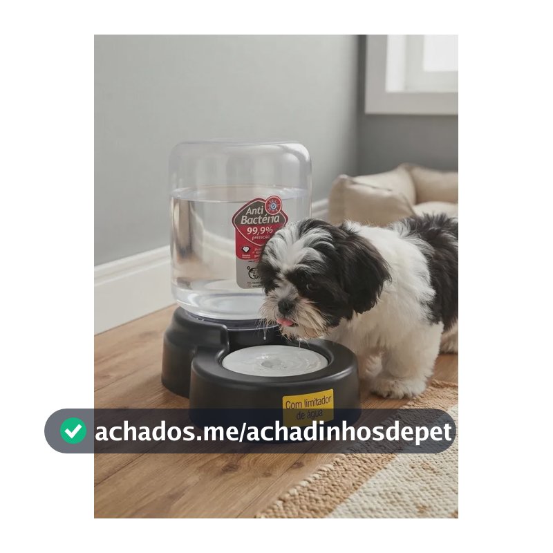 Bebedouro Pelos Longos Shih Tzu Cães Raça Peq. Sem Molhar Cor Preto