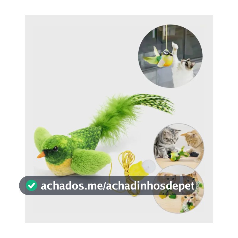Brinquedo Interativo Passaro Som Gatos Pet Catnip Pelucia Verde
