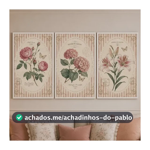 Quadros Decorativos Flores Vintage Românticas 3 Peças Multicores Borda Impressa