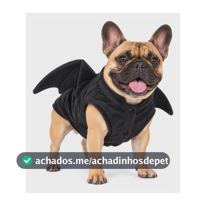 Roupa Morcego Noturno Fantasia Halloween Para Cachorro Gg