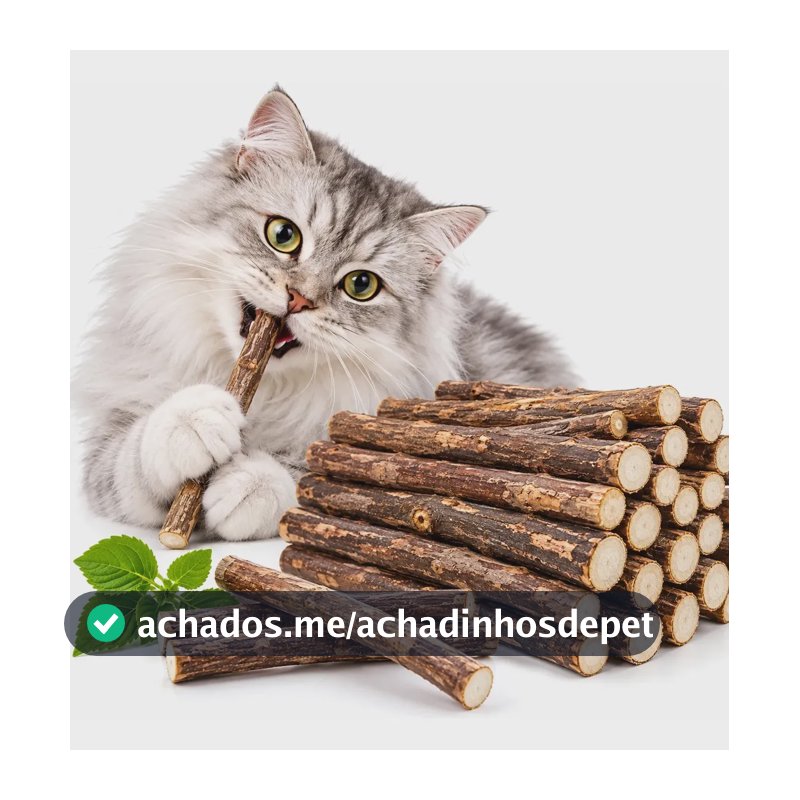 Matatabi Varas Gatos Catnip Limpa Dentes Kit Com 20,30,50un Kit 20 Unid.