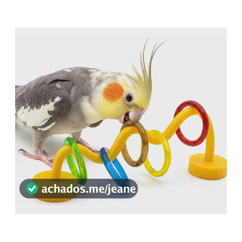 Brinquedo Para Ave Avuk Pet Passa Argola Recomendado Para Calopsita, Periquito - Cor Sortido