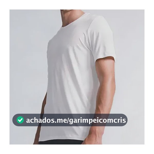 Daily T-shirt Insider