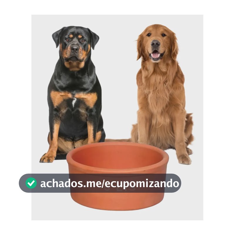Bebedouro Comedouro De Barro Ceramica Pote Grande Agua 5 Lts