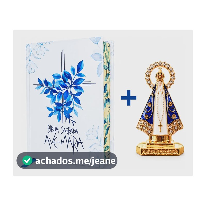 Bíblia Sagrada Católica Ave Maria Capa Dura Flores Aparecida Imagem Santinha Carro