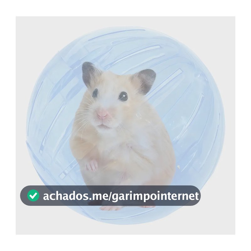 Bola Globo para Hamster 14,5cm Brinquedo em Acrílico para Roedores