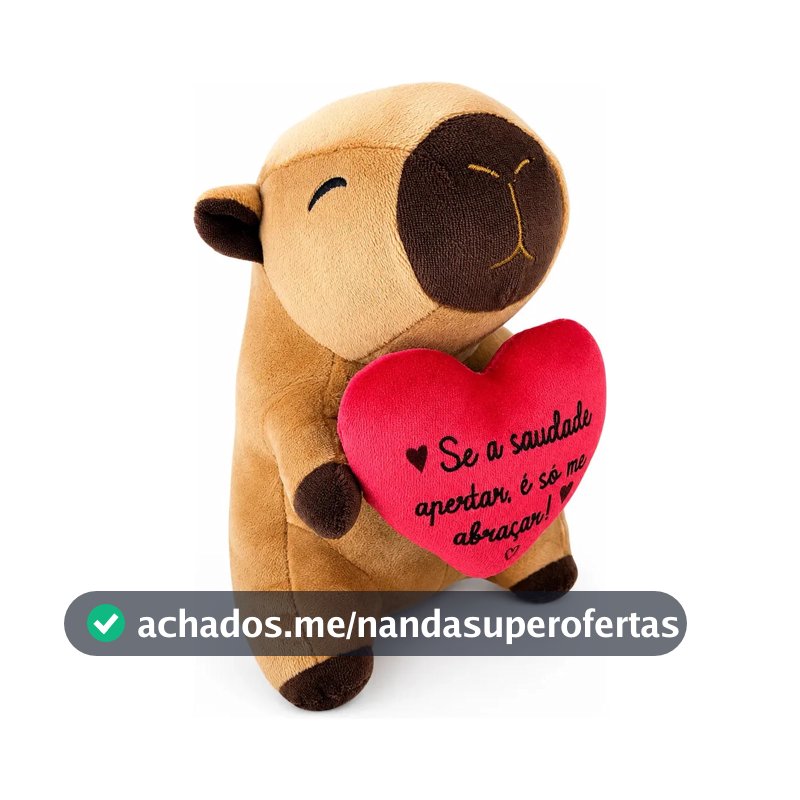 Pelúcia Capivara 20cm Com Coração Presente Marrom
