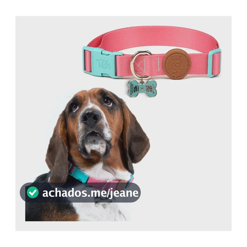 Coleira Pingente Identificação Tag Qr Code Toh Dog Cor Rosa Estampado Tamanho da coleira M