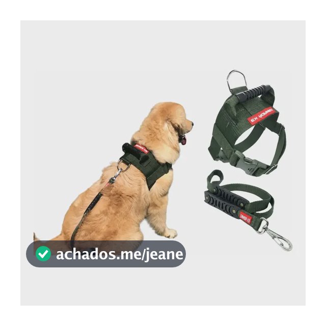 Peitoral + Guia Golden Retriever Labrador Canada K9