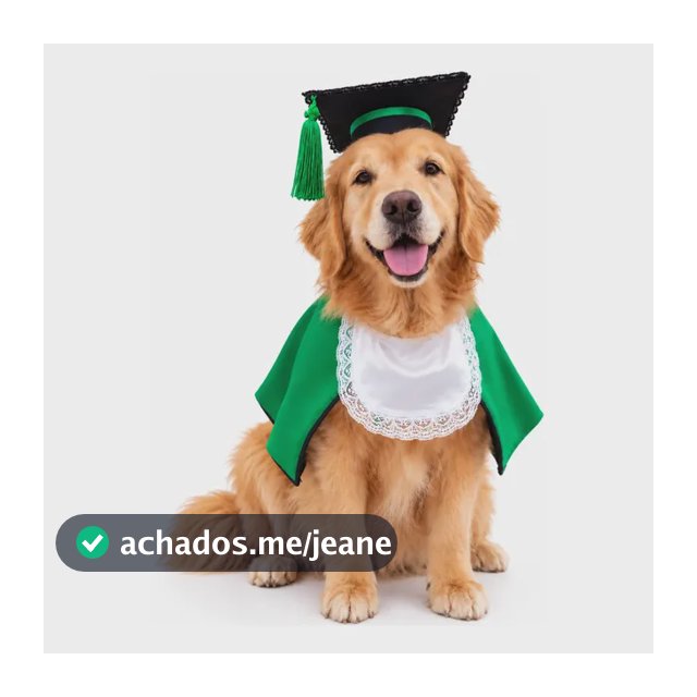 Beca Pet Fantasia Formatura Medicina Cão Porte Grande Tam Gg