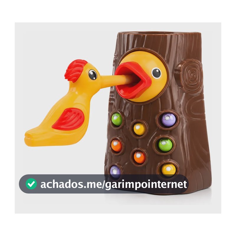Brinquedo Pica Pau Magnético Pega Minhocas Montessori Kids Pica Pau Multicolorido