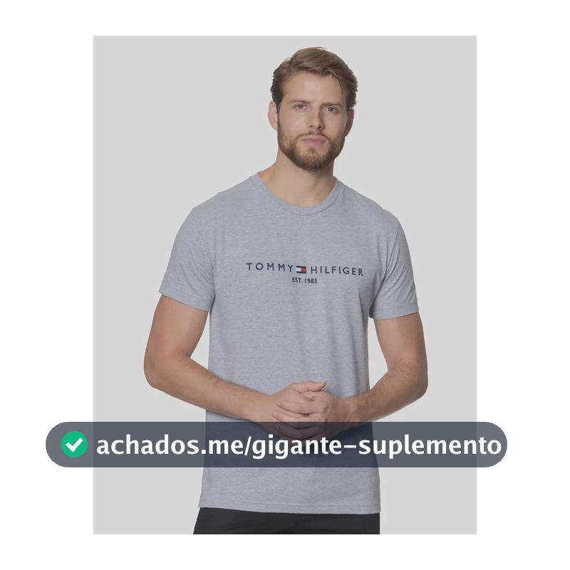 Camiseta Tommy Hilfiger Im Core Logo Light Grey Heather N/a Gg Liso