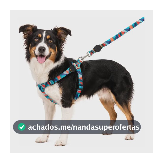Coleira Peitoral Cachorro Porte Pequeno E Medio