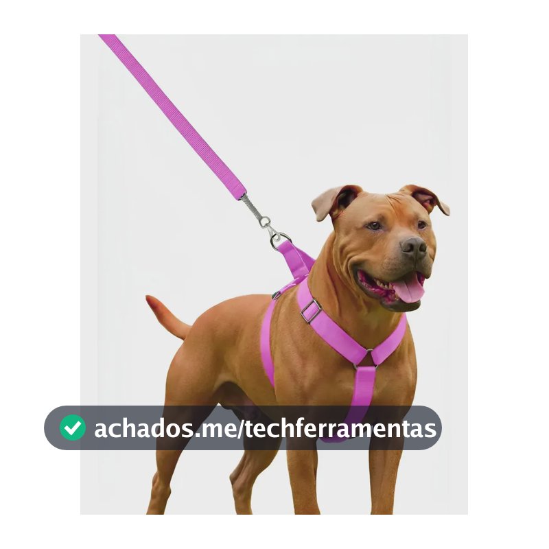 Coleira Peitoral Guia Para Cachorro Pit Bull Reforçada Rosa-chiclete