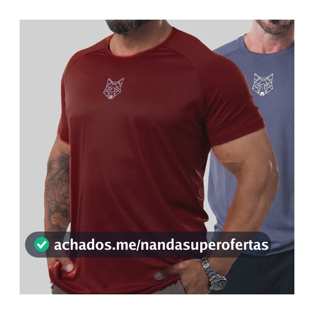 Kit 2 Camisetas Masculina Dry Alpha