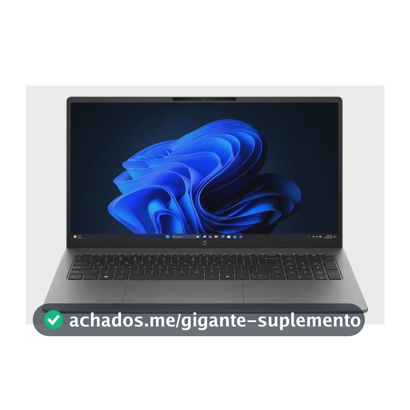 Notebook Hp 200 G2i Core 5 16  Graphics 256gb 16gb W11 Home Prateado