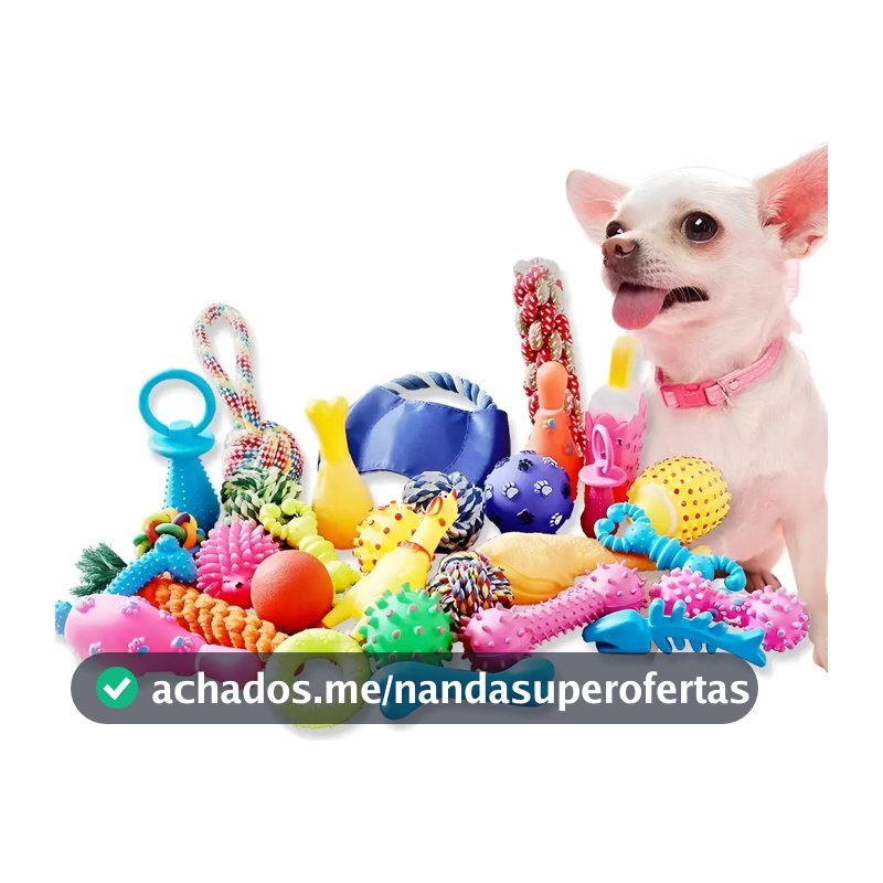 Kit 10 Brinquedos Para Filhote Cachorro Pet Mordedor
