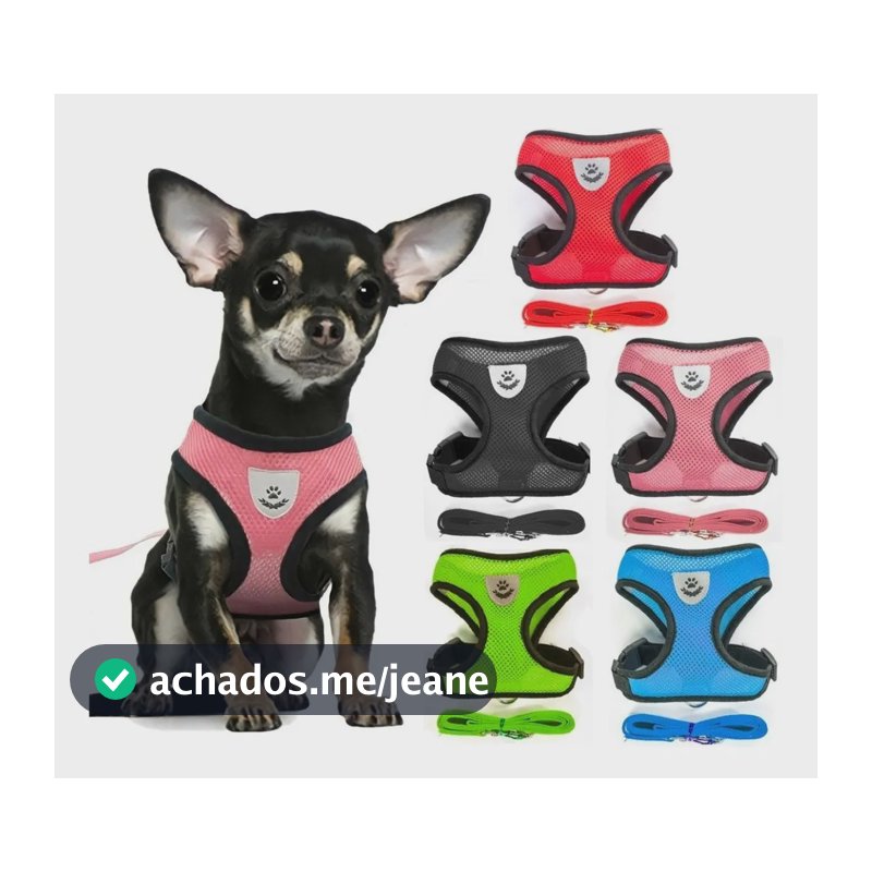 Peitoral Azul para Cães e Gatos Pequenos com Guia 1,2m Náilon