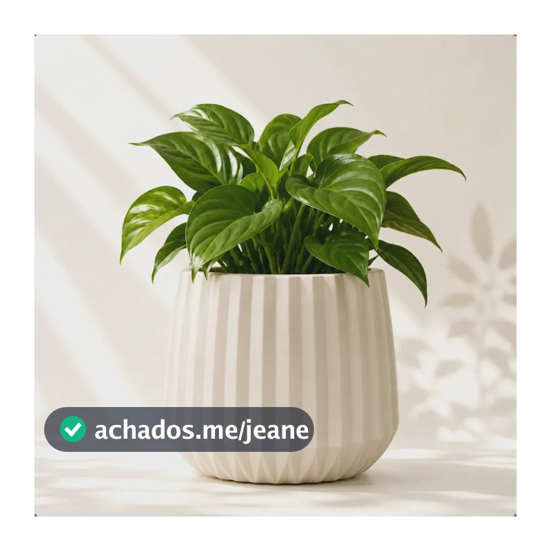 Vaso Cachepot Wave Branco Antigo 19cm Com Prato Acoplado Para Plantas Decorativo Jardim Bitroom