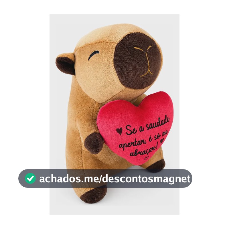 Pelúcia Capivara 20cm Com Coração Presente Marrom