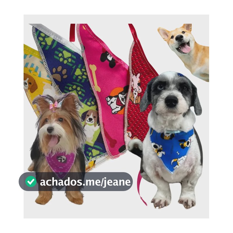 100 Bandanas Pet Shop Banho Tosa Cachorro Acessórios Atacado Variado Animal Print