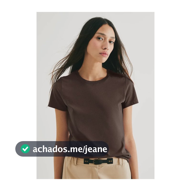 Camiseta Básica Feminina Slim World Hering Adulto Marrom M