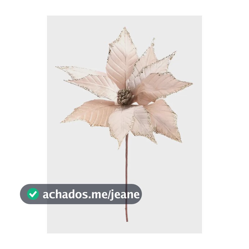 Flor De Natal Poinsettia Cha 1un 30x26x26cm 1102876 Cor Único