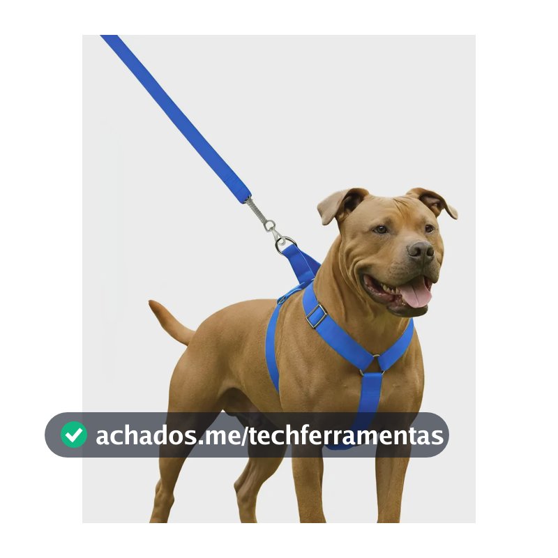 Coleira Peitoral Guia Para Cachorro Pit Bull Reforçada Azul