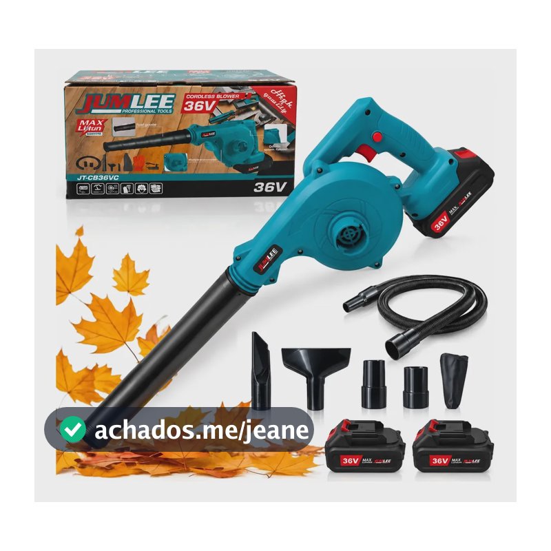 Aspirador Soprador Profissional Forte 2 Bateria Sem Fio Azul-celeste 127/220v