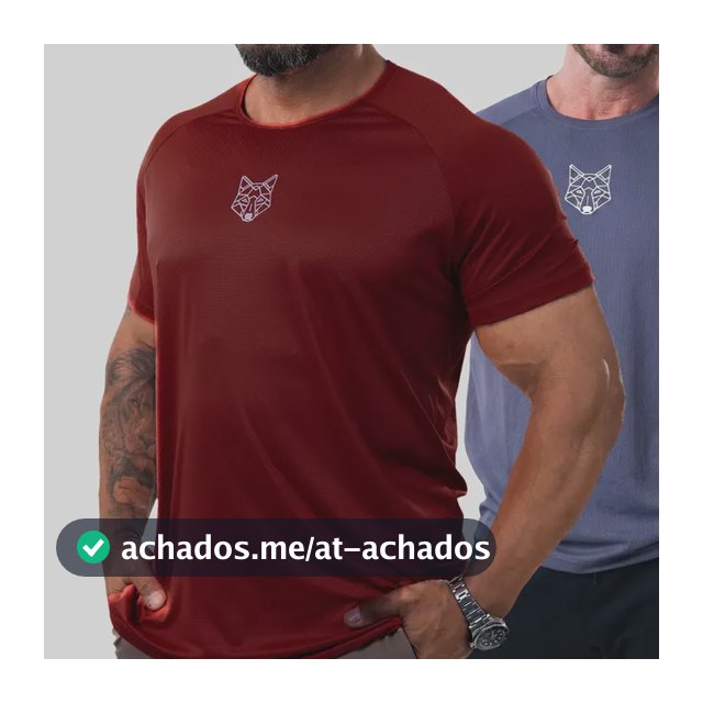 Kit 2 Camisetas Masculina Dry Alpha