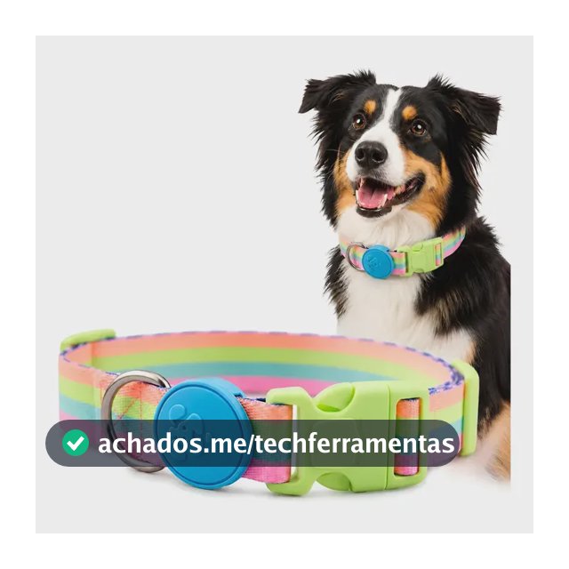 Coleira Caes Ajustavel Fecho Seguro  Acessório Pet Meuauau
