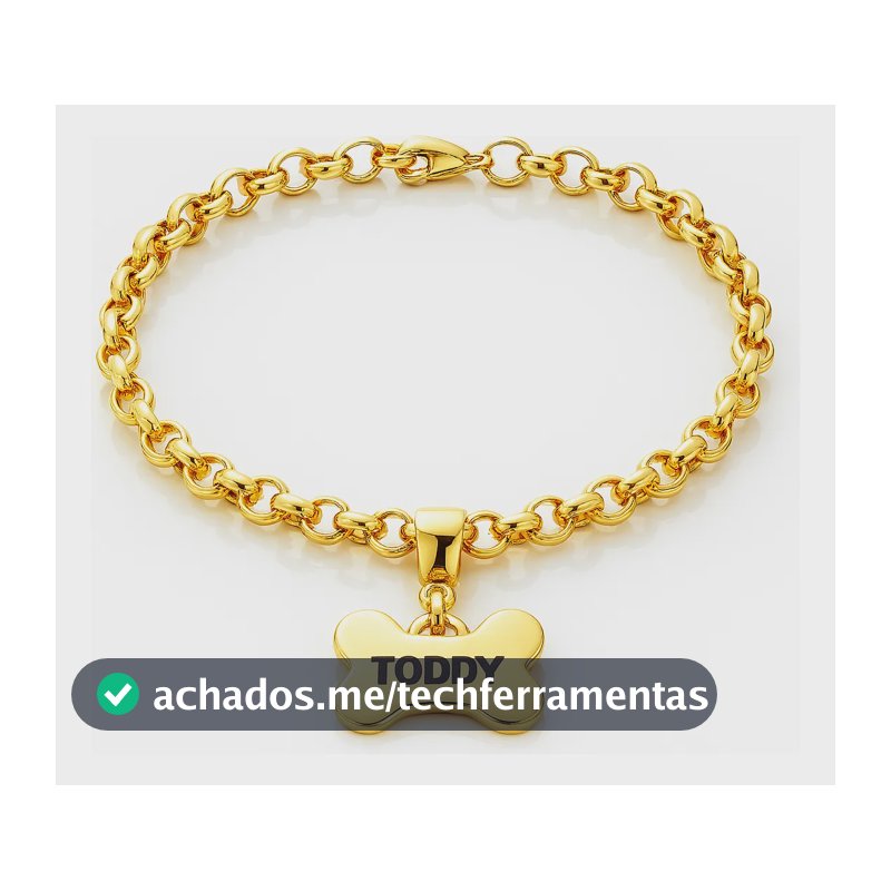 Coleira Pet Folheado Ouro 18k Personalizada Nome Cachorro Dourado Ossos P